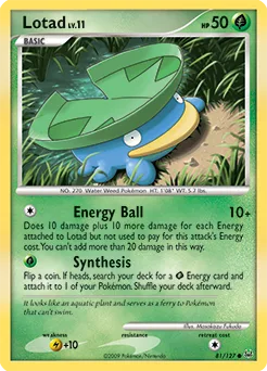 Lotad