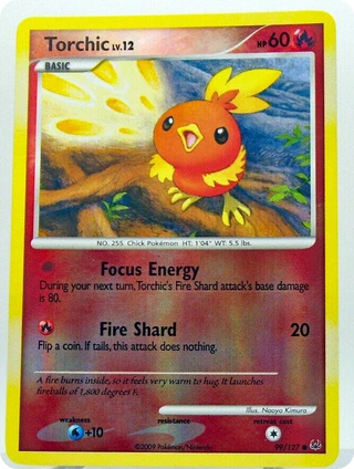 Torchic