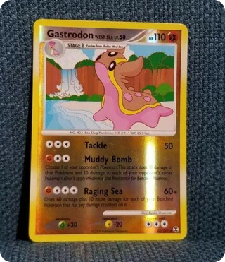 Gastrodon West Sea