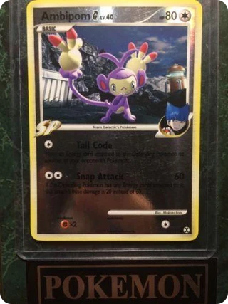 Ambipom G