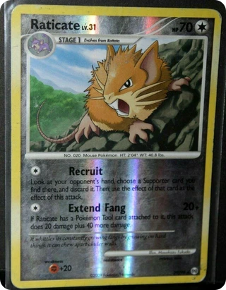Raticate