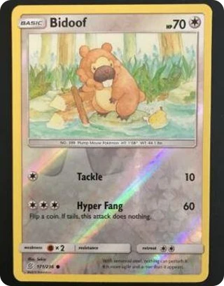 Bidoof