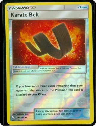 Karate Belt
