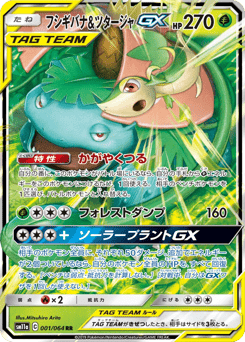 Venusaur & Snivy GX