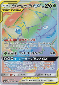 Venusaur & Snivy GX