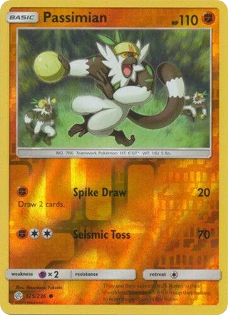 Passimian