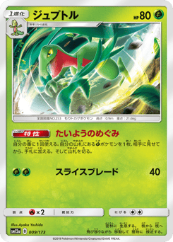 Grovyle (Mirror Holofoil)