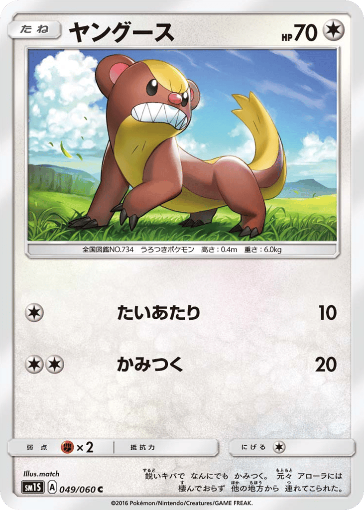 Yungoos — Collection Sun #049 / 60
