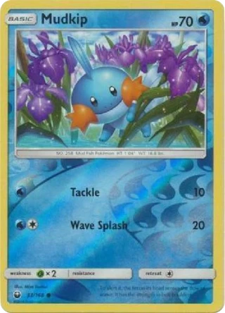 Mudkip