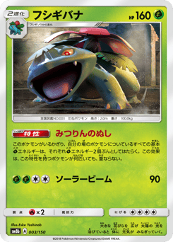 Venusaur (Mirror Holofoil)