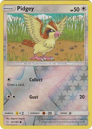 Pidgey