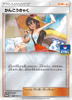 Sightseer - 308/SM-P