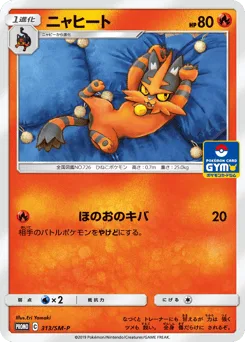 Torracat