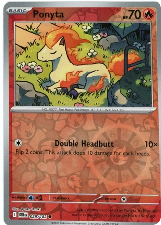 Ponyta