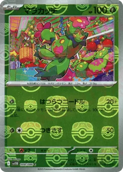 Maractus