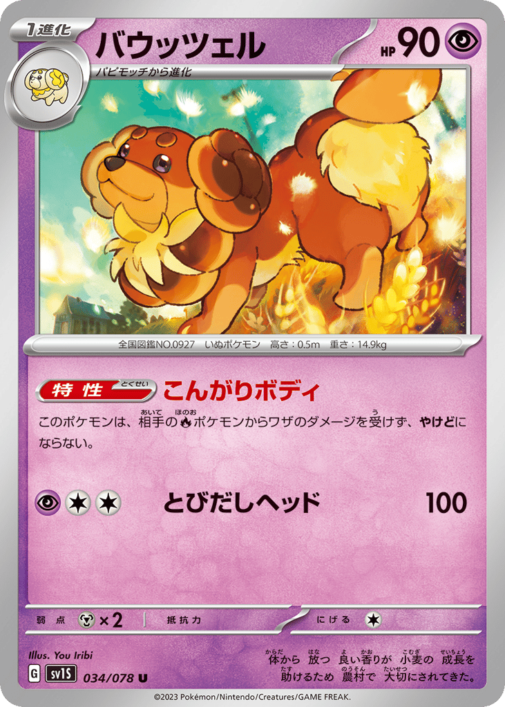Dachsbun — Scarlet ex #034 / 78