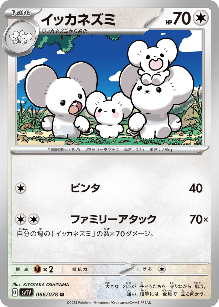 Maushold — Violet ex #066 / 78