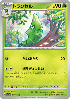 Metapod (Master Ball Pattern)