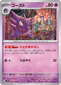 Haunter (Master Ball Pattern)