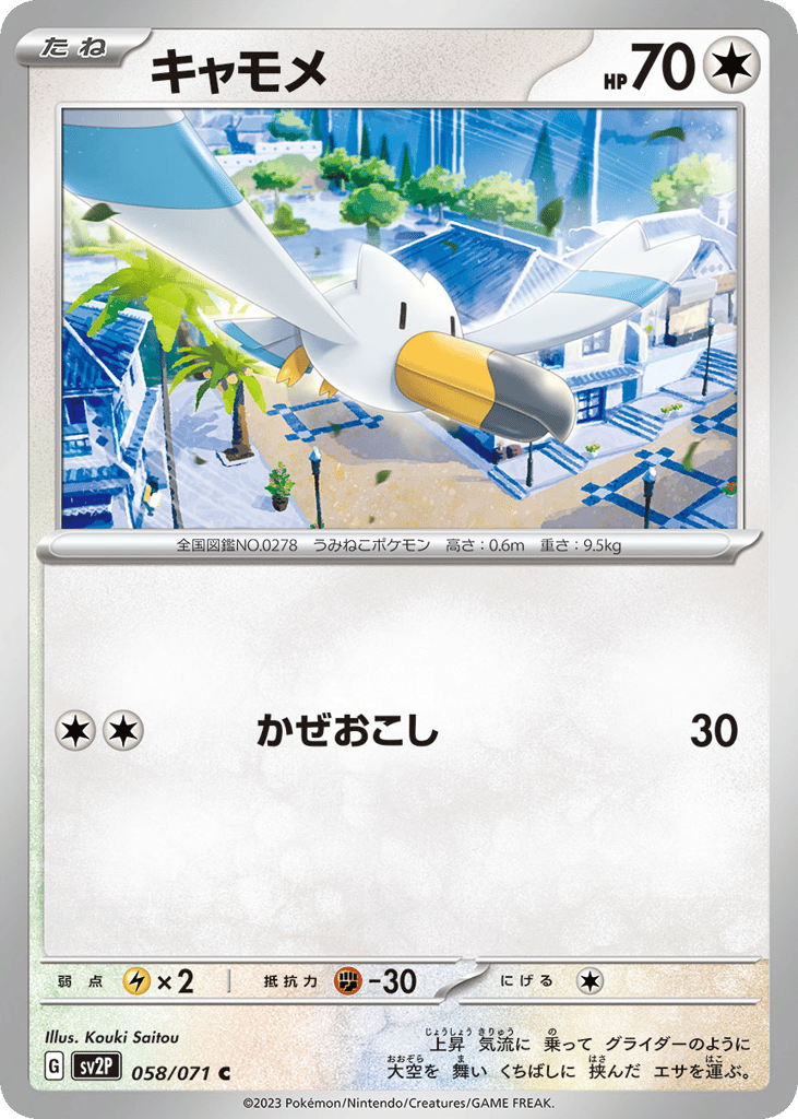 Wingull — Snow Hazard #058 / 71