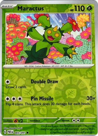 Maractus