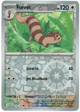 Furret