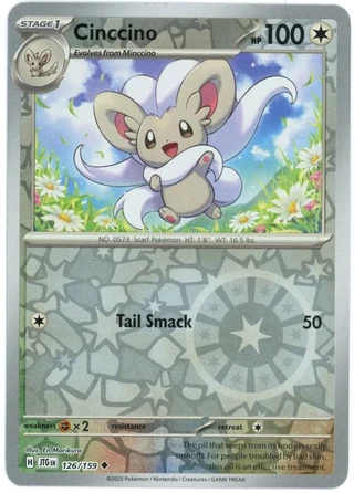 Cinccino