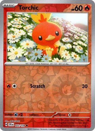 Torchic