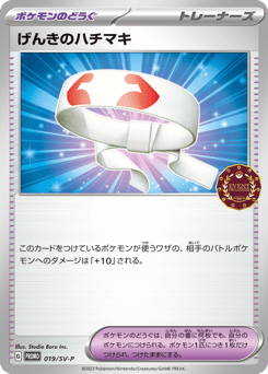 Vitality Band - 019/SV-P
