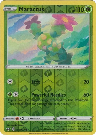 Maractus