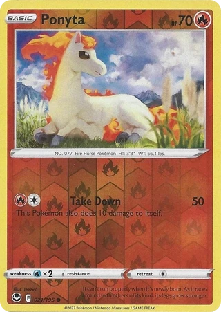 Ponyta