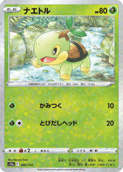 Turtwig - 006/172 (Mirror Holofoil)