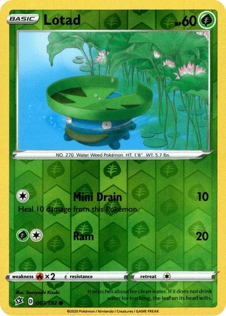 Lotad