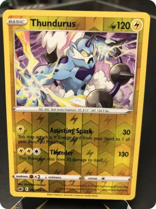 Thundurus