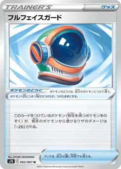 Full Face Guard
