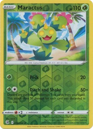 Maractus