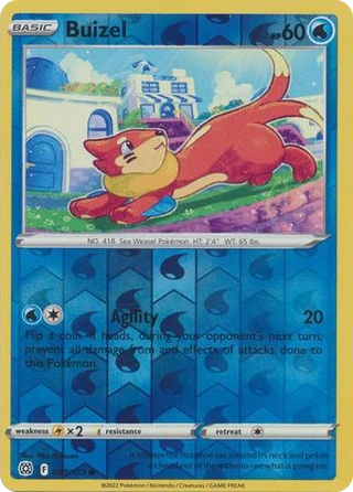 Buizel
