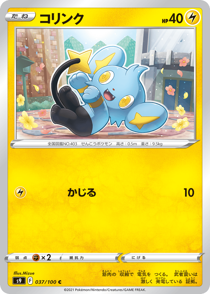 Shinx — Star Birth #037 / 100