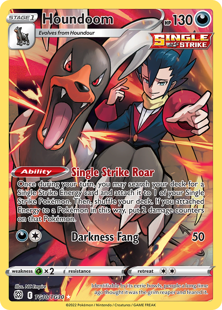 Houndoom — Brilliant Stars Trainer Gallery #010 / 30