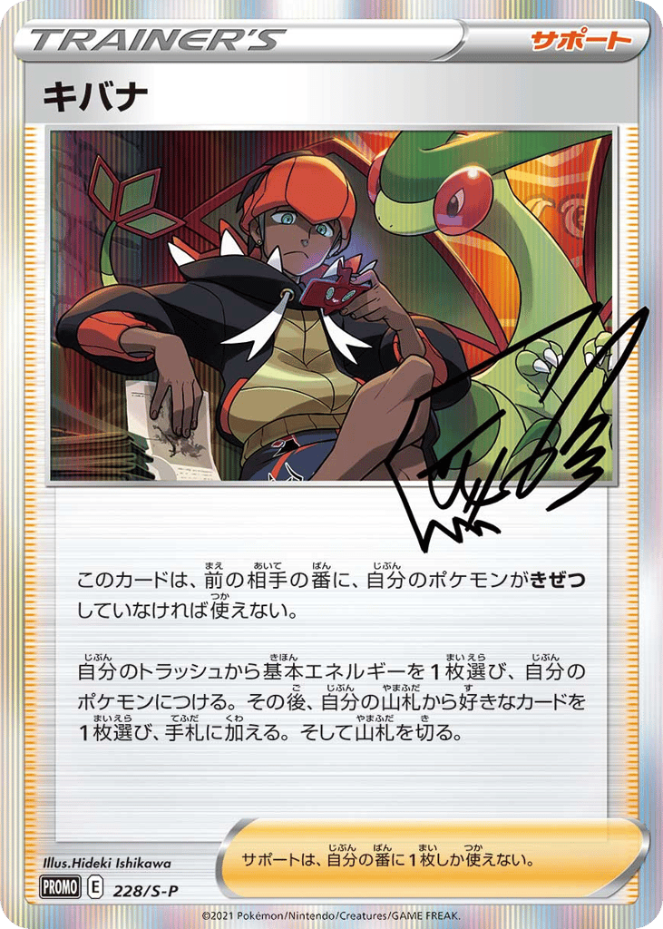 Raihan - 228/S-P — Sword & Shield Promos #228 / 340