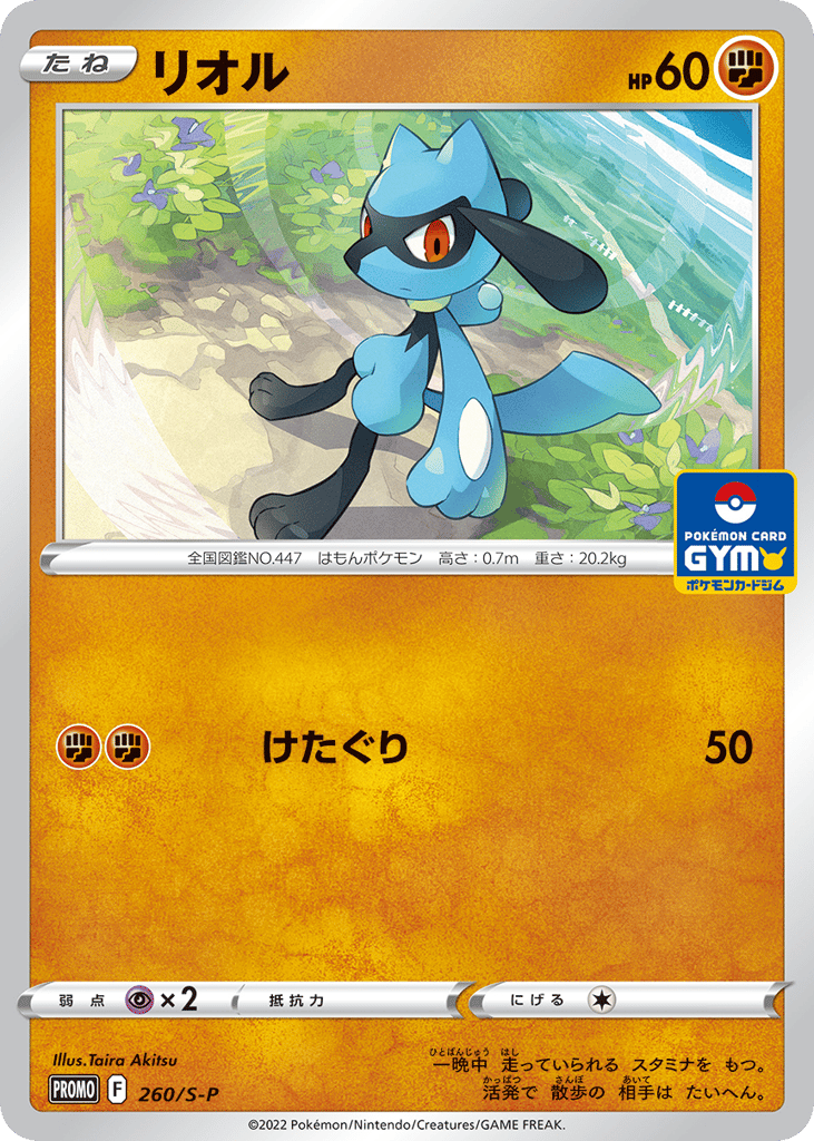 Riolu - 260/S-P — Sword & Shield Promos #260 / 340