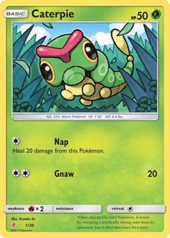 Caterpie