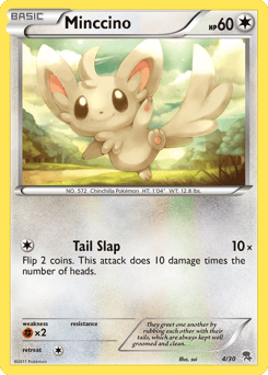 Minccino