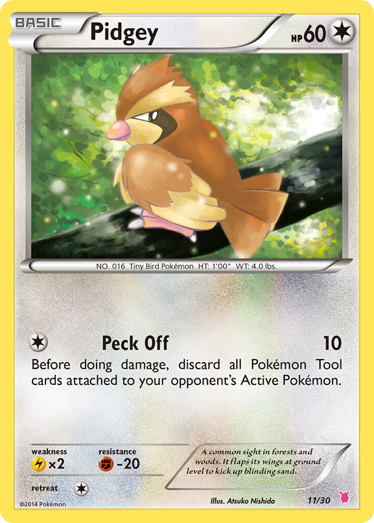 Pidgey — XY Trainer Kit Wigglytuff #011 / 30
