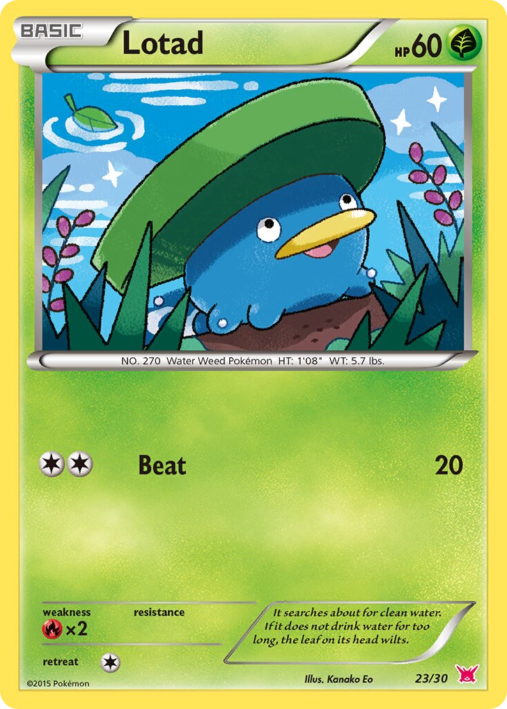 Lotad — XY Trainer Kit Latias #023 / 30