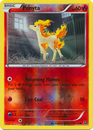 Ponyta
