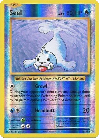 Seel