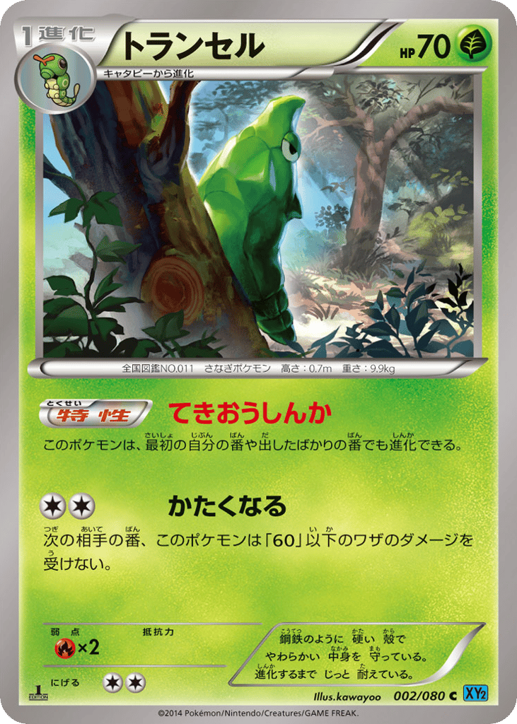 Metapod — Wild Blaze #002 / 80