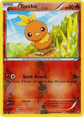 Torchic