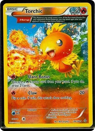 Torchic